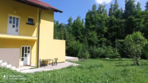 Apartment Mirela